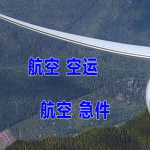 音布鲁克航空空运快递-选东方航空和上海航空