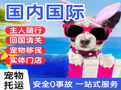音布鲁克航空空运国际宠物托运 【国