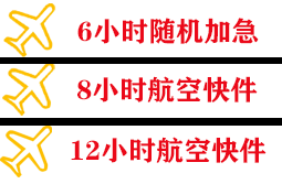 音布鲁克航空空运快递公司,专业空运当天件